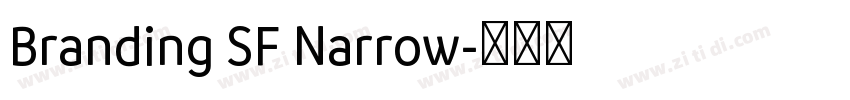 Branding SF Narrow字体转换
